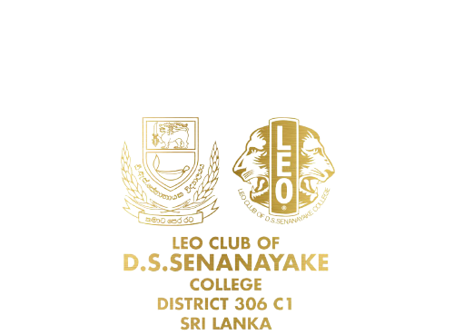 Powerhouse of D6 Sponsor Logo